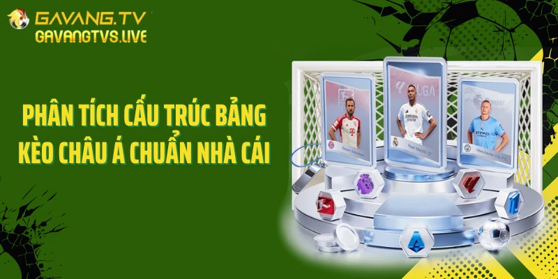 Phân tích cấu trúc bảng kèo châu Á chuẩn nhà cái